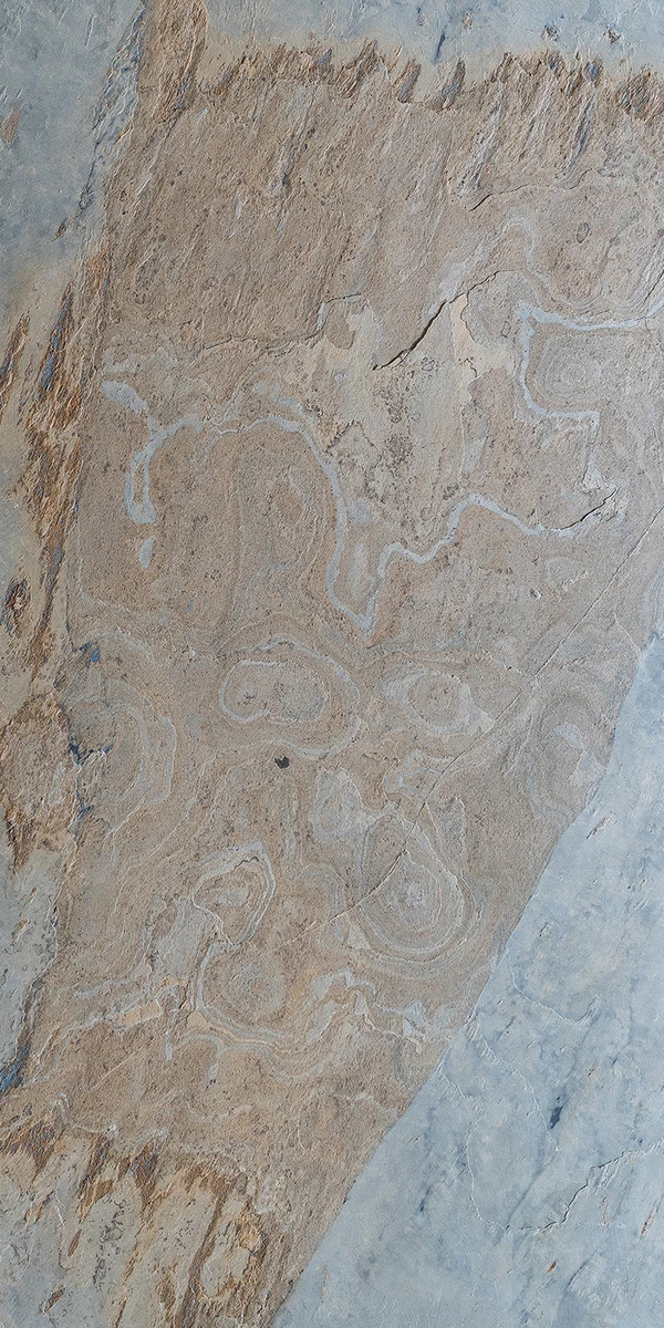 Autumn Cream Natural Stone Colour Veneer — Classical Stone Veneer India