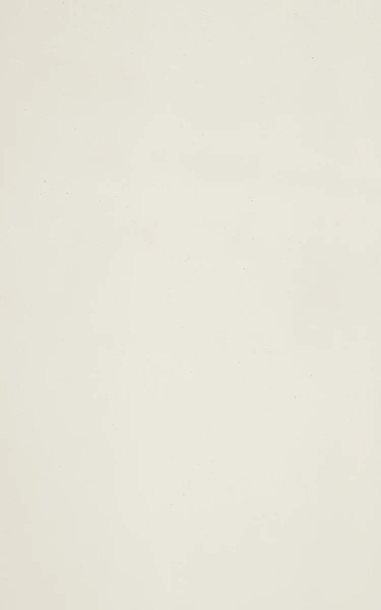 White Concrete Veneer — Classical Stone Veneer
